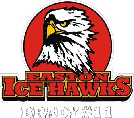 Easton Ice Hawks Hockey Team Store Banner